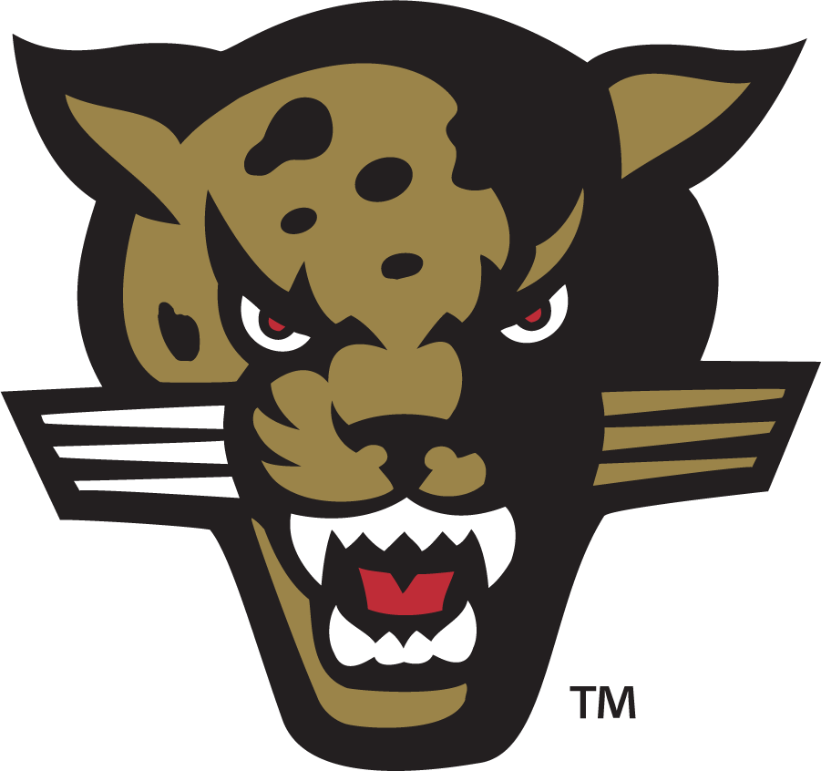 IUPUI Jaguars 1998-2007 Secondary Logo iron on transfers for T-shirts